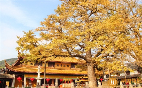 维持婚姻最好的办法,维持婚姻稳定的方法