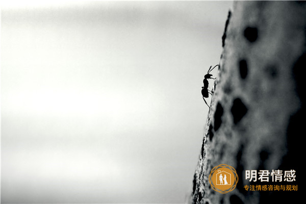 怎么跟人聊天找话题?常聊这些话题让你们感情更深厚!