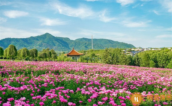 恋人约会适合做什么,什么适合恋人约会做?