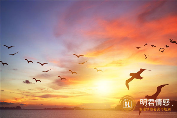 心有阳光的唯美句子,心若向阳处处皆是阳光
